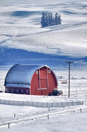 Framed Snow-Covered Barn, Idaho Print