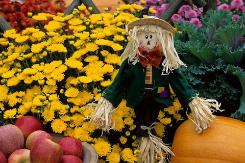 Framed Fall Garden Display, Illinois Print