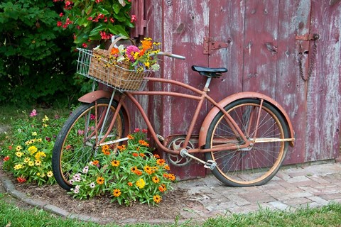 Framed Old Bicycle With Flower Basket, Marion County, Illinois Print
