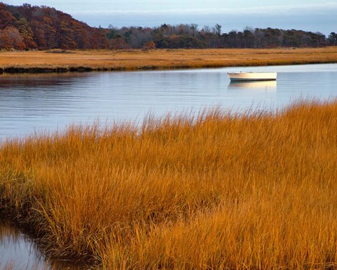 Framed Boat Anchored In Mousam River, Maine Print