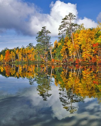 Framed Autumn Scene Of Upper Togue Pond, Maine Print