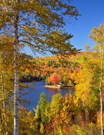 Framed Wyman Lake In Autumn, Maine Print