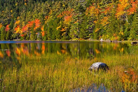 Framed Autumn Reflections In Bubble Pond, Acadia National Park, Maine Print
