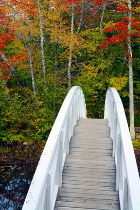 Framed White Footbridge Path, Maine Print