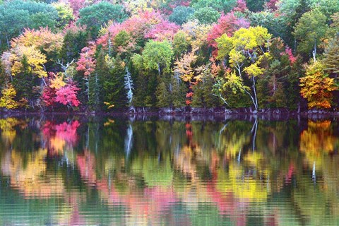 Framed Great Long Pond Reflection,  Maine Print