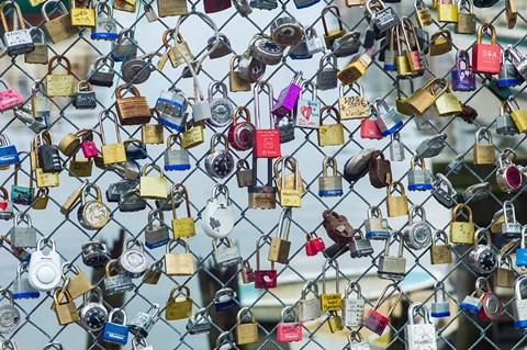 Framed Love Locks On A Fence, Portland, Maine Print