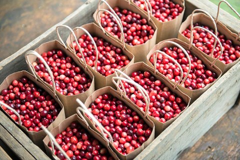 Framed Bagged Cranberries Print