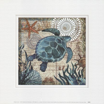 Framed Monterey Bay Turtle Print