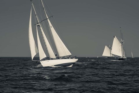Framed Schooner&#39;s Sailing In Cape Ann (BW) Print
