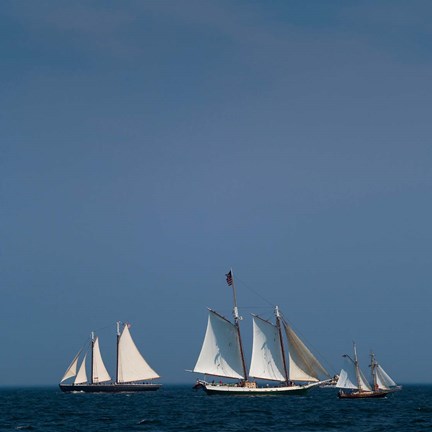 Framed Three Schooners Sailing In Cape Ann Print