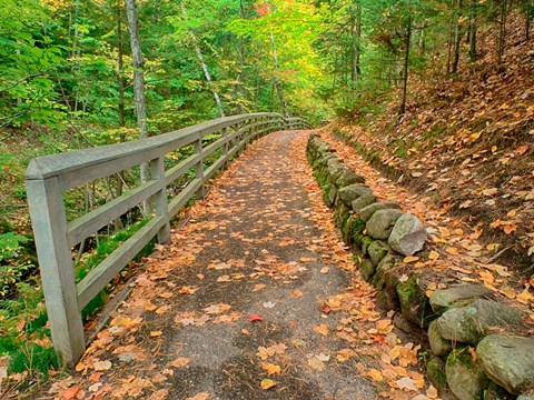 Framed Autumn Trail Leading To Munising Falls Print