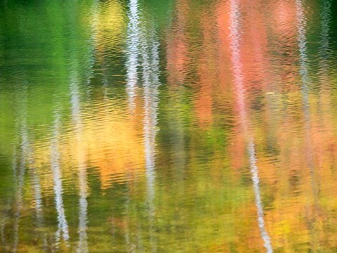 Framed Panned Motion Blur Of An Autumn Woodland Reflection Print