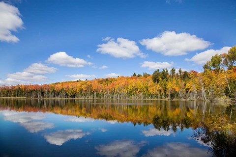 Framed Panoramic View Of Pete&#39;s Lake, Michigan Print