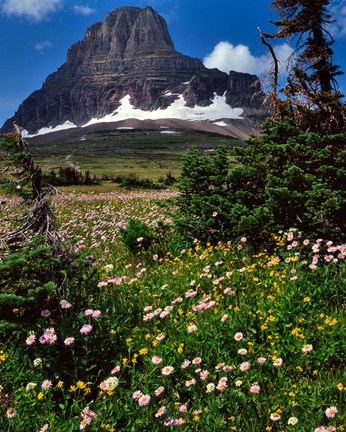 Framed Clements Mountain, Glacier National Park, Montana Print