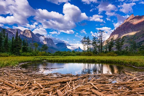 Framed Driftwood And Pond, Saint Mary Lake, Glacier National Park, Montana Print