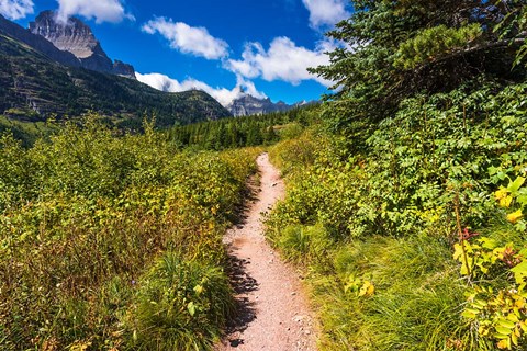 Framed Iceberg Lake Trail, Glacier National Park, Montana Print