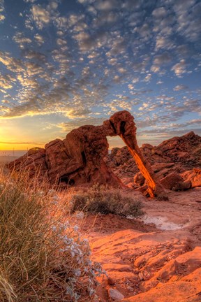 Framed Elephant Rock, Valley Of Fire State Park, Nevada Print