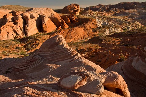 Framed Fire Wave At Sunset, Valley Of Fire State Park, Nevada Print