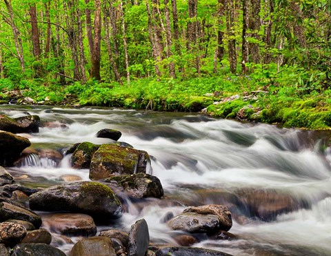 Framed Water Flows At Straight Fork, North Carolina Print