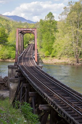 Framed Abandoned Railroad Trestle, North Carolina Print