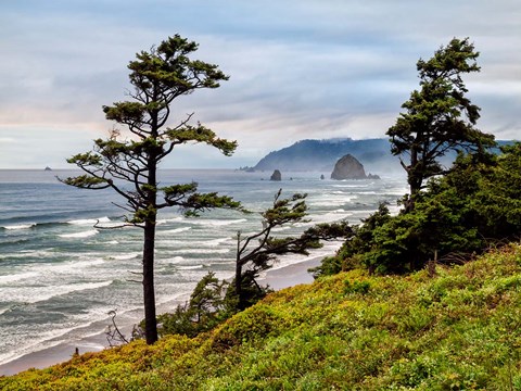 Framed Cannon Beach, Oregon Print