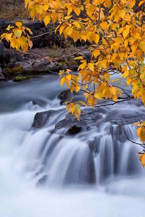 Framed Rogue River Waterfalls In Autumn, Oregon Print