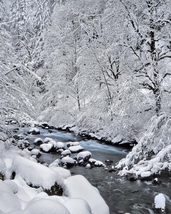 Framed Snow On Boulder Creek, Oregon Print