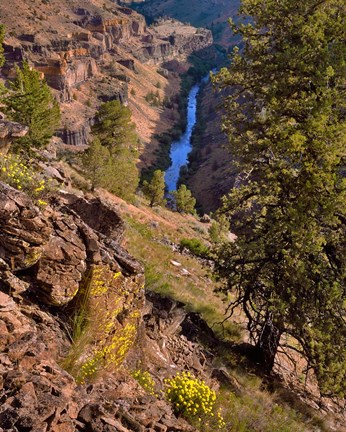 Framed Deschutes Canyon Landscape, Oregon Print