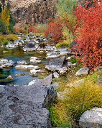 Framed Fall Colors Along The John Day River Print