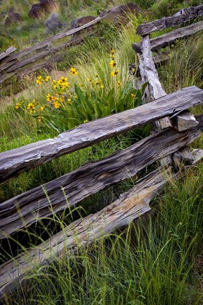 Framed Split Rail Fence In Smith Rock State Park, Oregon Print