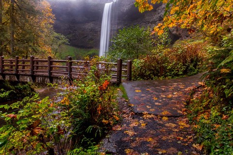 Framed South Falls In Autumn, Oregon Print