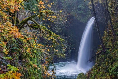 Framed Autumn At Metlako Falls On Eagle Creek, Oregon Print