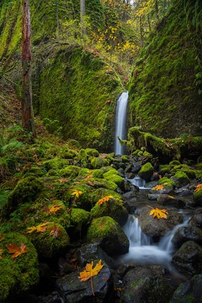 Framed Mossy Grotto Falls, Oregon Print
