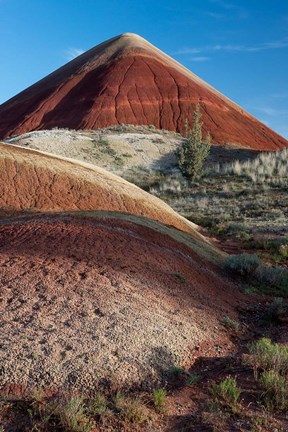 Framed Oregon, John Day Fossil Beds National Monument The Undulating Painted Hills Print