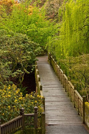 Framed Bridge At Crystal Springs Rhododendron Garden, Portland, Oregon Print