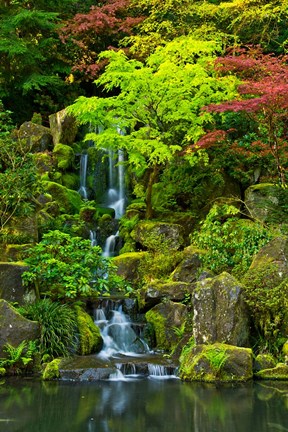 Framed Heavenly Falls, Portland Japanese Garden, Oregon Print