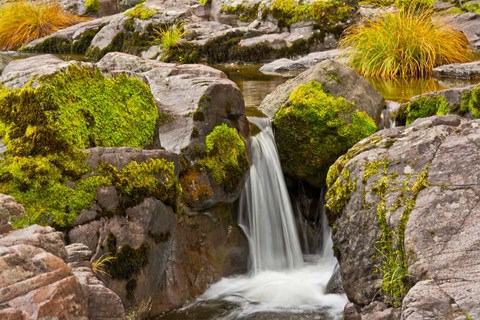 Framed Autumn At Little Falls, Umpqua National Forest, Oregon Print