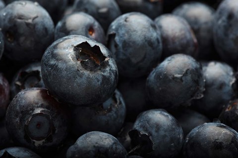 Framed Close-Up Of Dark Blueberries Print