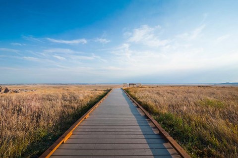 Framed Walkway Going Through The Badlands National Park, South Dakota Print