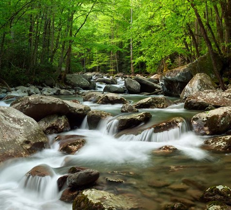 Framed Little Pigeon River At Greenbrier Print