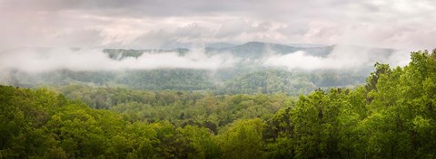 Framed Misty Morning Panorama Of The Greak Smoky Mountains National Park Print
