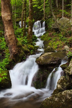 Framed Cascade Along The Little River Print