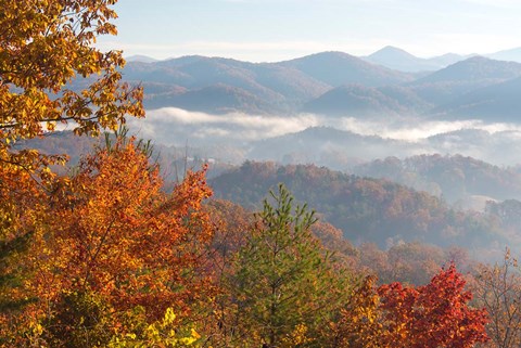 Framed Morning Light Fog Viewed From Foothills Parkway Print