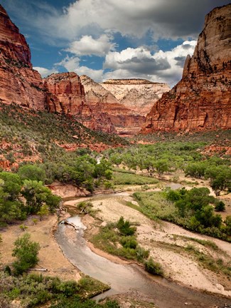 Framed View Along The Virgin River Or Zion National Park Print