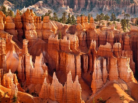 Framed Morning Light On The Hoodoos Of Bryce Canyon National Park Print