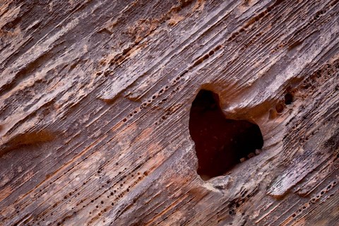 Framed Heart-Shaped Hole In Rock Print