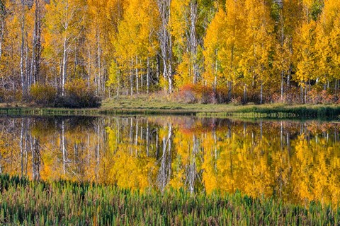 Framed Round Lake Panorama, Utah Print