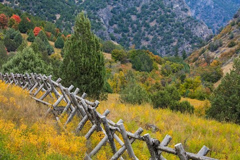 Framed Fence And Meadow Landscape, Utah Print