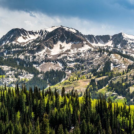 Framed Ski Resort From Guardsmans Pass Road Print