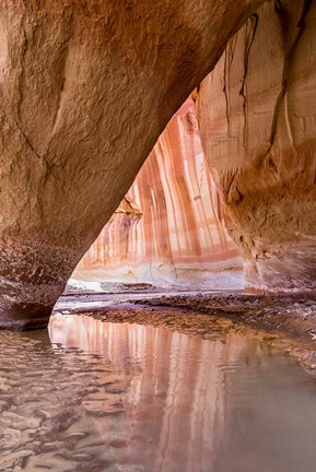 Framed Slide Arch In Paria Canyon, Utah Print